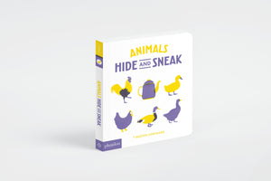 Hide and Sneak Book Bundle