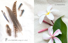 Load image into Gallery viewer, A Beauty Collected