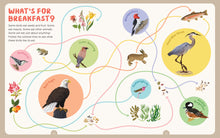 Load image into Gallery viewer, Backpack Explorer: Bird Watch