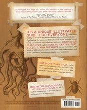 Load image into Gallery viewer, Cabinet of Curiosities