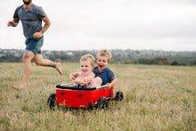 Load image into Gallery viewer, Wishbone Wagon