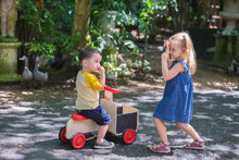 Load image into Gallery viewer, Delivery Bike