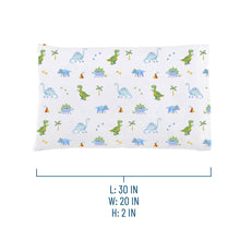 Load image into Gallery viewer, Dinosaur Land 100% Organic Cotton Flannel Pillow Case