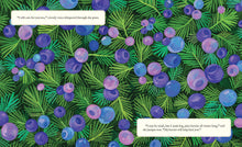 Load image into Gallery viewer, Why Evergreens Keep Their Leaves