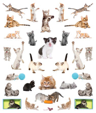 Load image into Gallery viewer, Eyelike Stickers Set: Baby Animals
