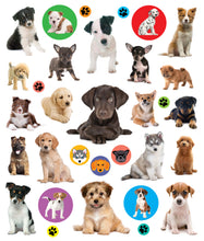 Load image into Gallery viewer, Eyelike Stickers Set: Baby Animals