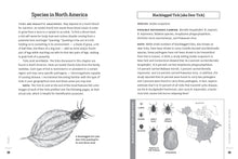 Load image into Gallery viewer, Preventing Lyme &amp; Other Tick-Borne Diseases
