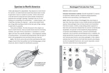 Load image into Gallery viewer, Preventing Lyme & Other Tick-Borne Diseases