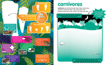 Load image into Gallery viewer, Peel + Discover: Dinosaurs