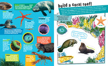 Load image into Gallery viewer, Peel + Discover: Oceans