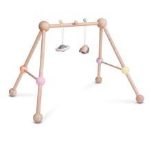 Load image into Gallery viewer, Play Gym