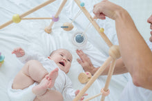 Load image into Gallery viewer, Play Gym