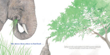 Load image into Gallery viewer, She Leads: The Elephant Matriarch