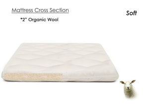 Teddy Organic Wool Mattress Topper - Soft 2 Inch Chemical Free Pure Wool