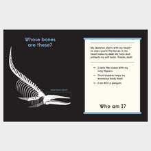 Load image into Gallery viewer, Whose Bones?