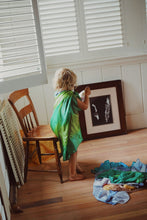 Load image into Gallery viewer, Earth Playsilks
