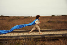 Load image into Gallery viewer, Giant Enchanted Playsilks