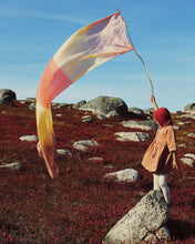 Load image into Gallery viewer, Giant Earth Playsilks