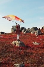 Load image into Gallery viewer, Giant Earth Playsilks