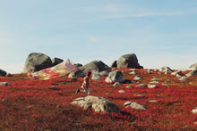 Load image into Gallery viewer, Giant Earth Playsilks