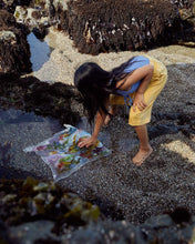 Load image into Gallery viewer, Mini Kelp Forest Playsilk