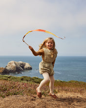 Load image into Gallery viewer, Mini Streamers