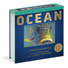 Load image into Gallery viewer, Ocean