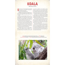 Load image into Gallery viewer, Outback