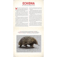 Load image into Gallery viewer, Outback