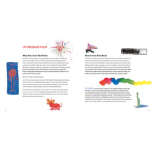 Load image into Gallery viewer, Paint This Book!