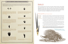 Load image into Gallery viewer, Cabinet of Curiosities