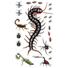 Load image into Gallery viewer, Creepy-Crawly Tattoo Bugs