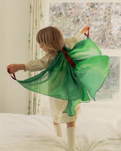 Load image into Gallery viewer, Fairy Wings