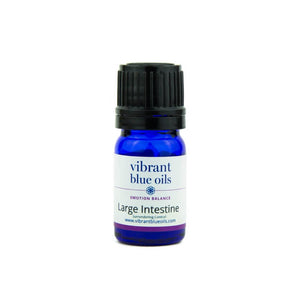 LARGE INTESTINE SUPPORT™ – 5 ML Essential Oil Blend