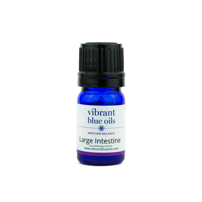LARGE INTESTINE SUPPORT™ – 5 ML Essential Oil Blend