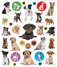 Load image into Gallery viewer, Eyelike Stickers Set: Baby Animals
