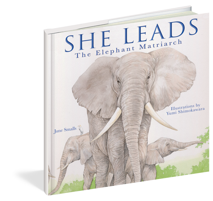 She Leads: The Elephant Matriarch